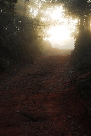 Senderos de caminata